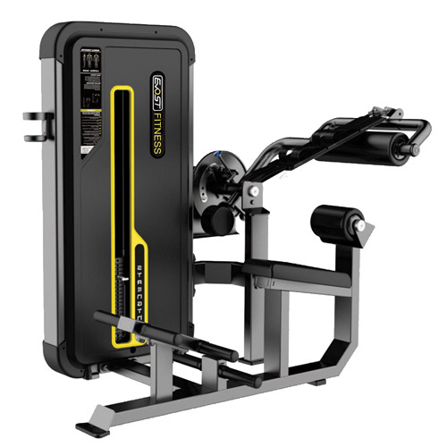 CoreBridge Dual Trainer