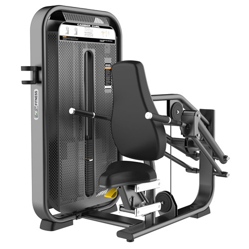 DipForce Upper Body Press