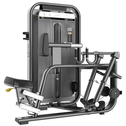 Vertical Row-Rear Delt Application: Endurance