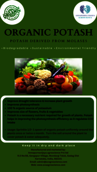 POTASH DERIVED FROM MOLASSES