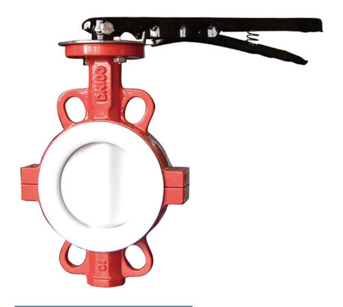 SS PTFE Seat Butterfly Valve