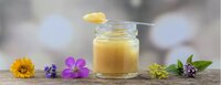 Royal Jelly Fresh - Dosage Form: Powder