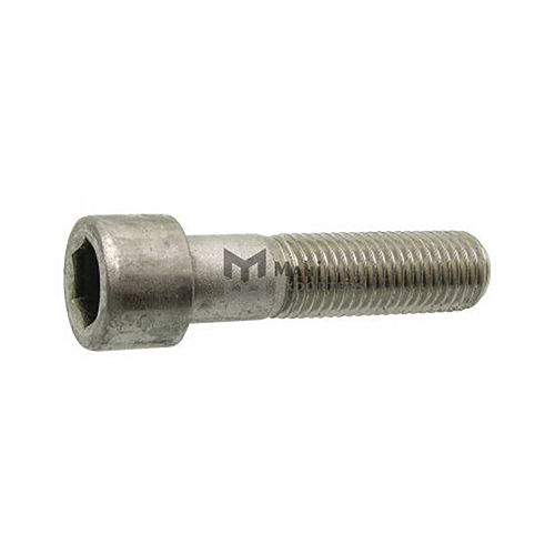 10121 Hexagon Socket Head Cap Screw Stainless Steel