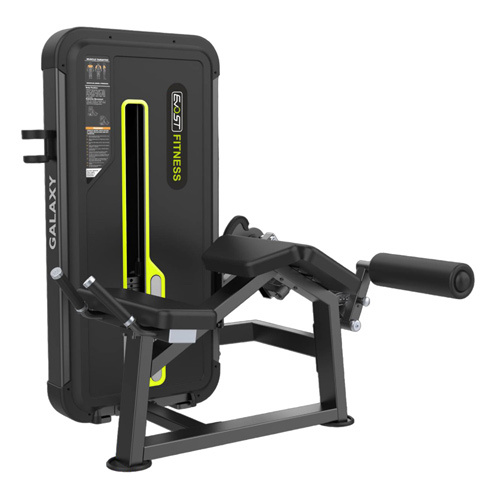 Prone Leg Curl for gym