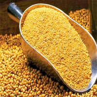 Soya Bean Meal