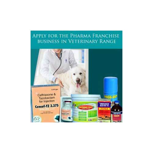 Veterinary PCD Pharma Franchise