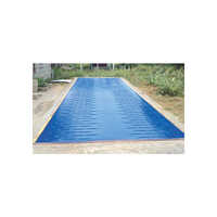 Pit Weigh Bridge - Color: Blue