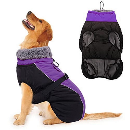 Winter Warm Dog Jacket