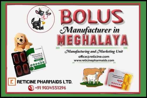 BOLUS MANUFACTURER IN MEGHALAYA