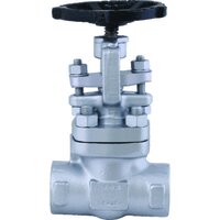 Bolted Bonnet Forged Steel Globe Valve - Color: Gray