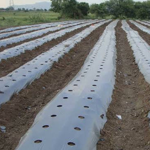 5 Layer Mulching Sheet With Holes
