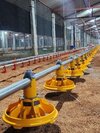 Pan Feeding System - Color: Red