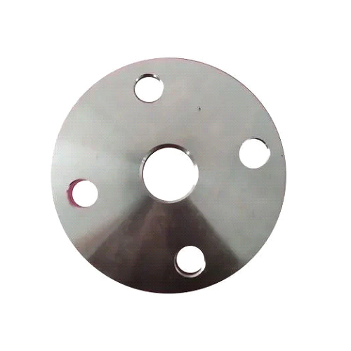 SS Plate Flanges