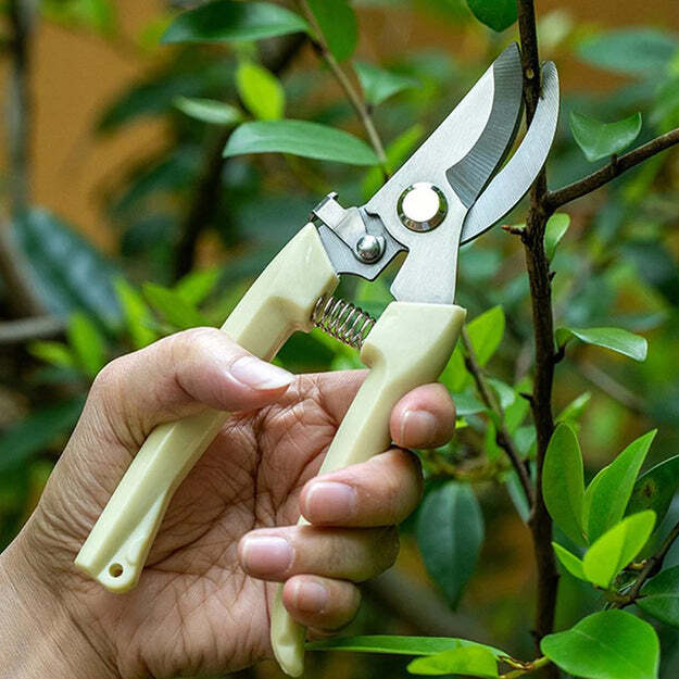 STAINLESS STEEL PRUNING SHEARS WITH SHARP BLADES AND COMFORTABLE HANDLE - DURABLE HAND PRUNER FOR COMFORTABLE AND EASY CUTTING