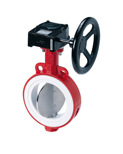 Trusted PTFE Butterfly Valve