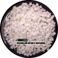 Nylon 6 Glass Filled 30% Natural Plastic Pellets