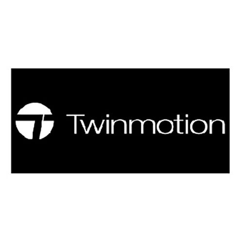 Twin motion