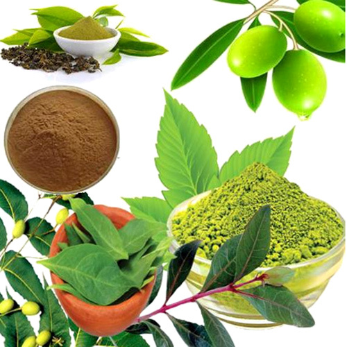 Herbal Extract Products
