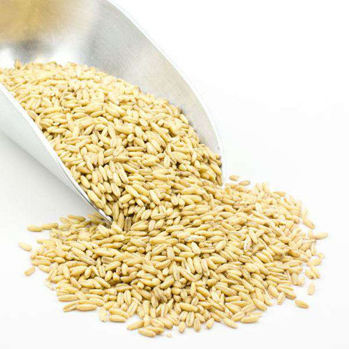 Indian Grain