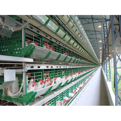 Zucami Layer Battery Cage Systems