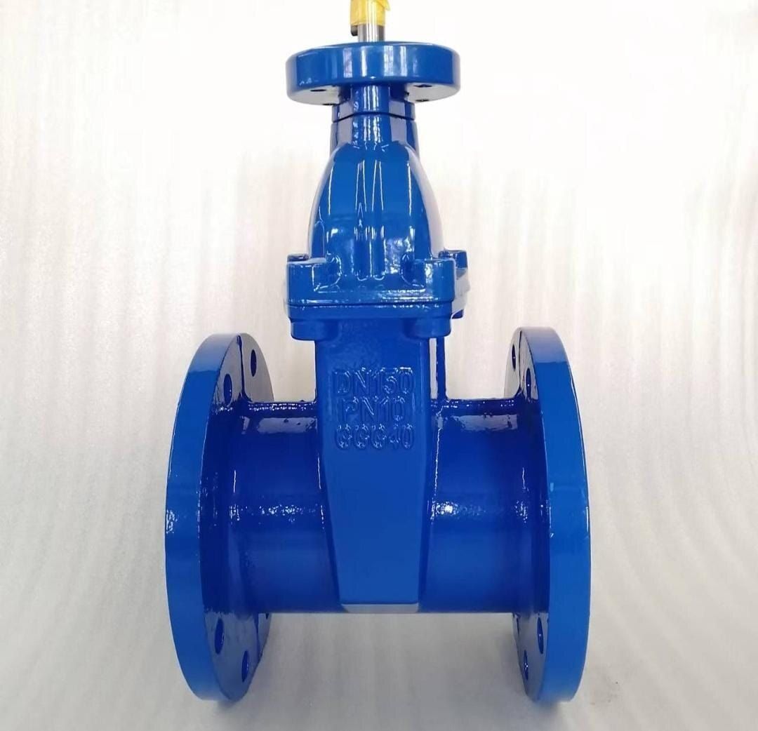 Resilient Seated Gate Valve