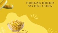 Freeze Dried Sweet Corn