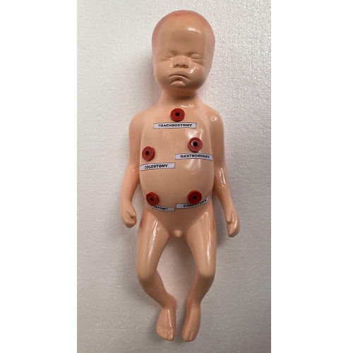 Skin Child Manikin