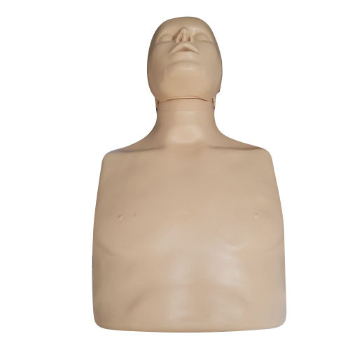 Skin Cpr Manikin