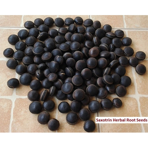 Saxotrin Herbal Root Seeds