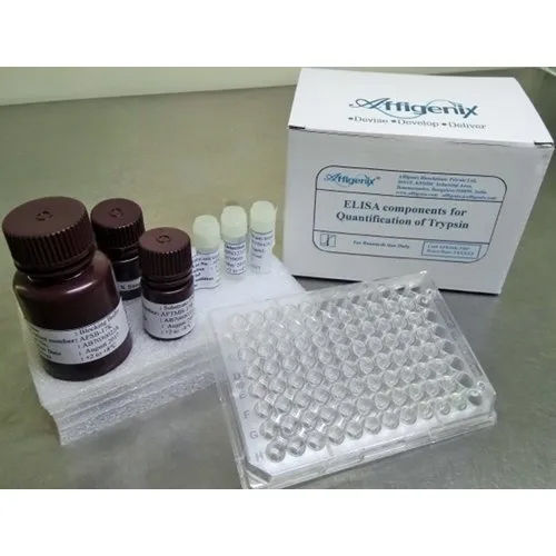 White Trypsin Enzyme Clearance Assay Kit