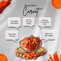 Freeze Dried Carrot