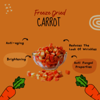 Freeze Dried Carrot