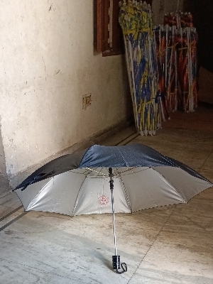 UMBRELLA 2 food black silver