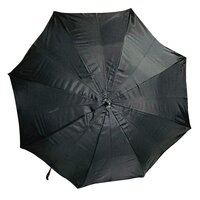 UMBRELLA 2 food black silver