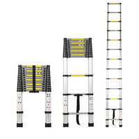 Ss Telescopic Ladder - Feature: High Quality