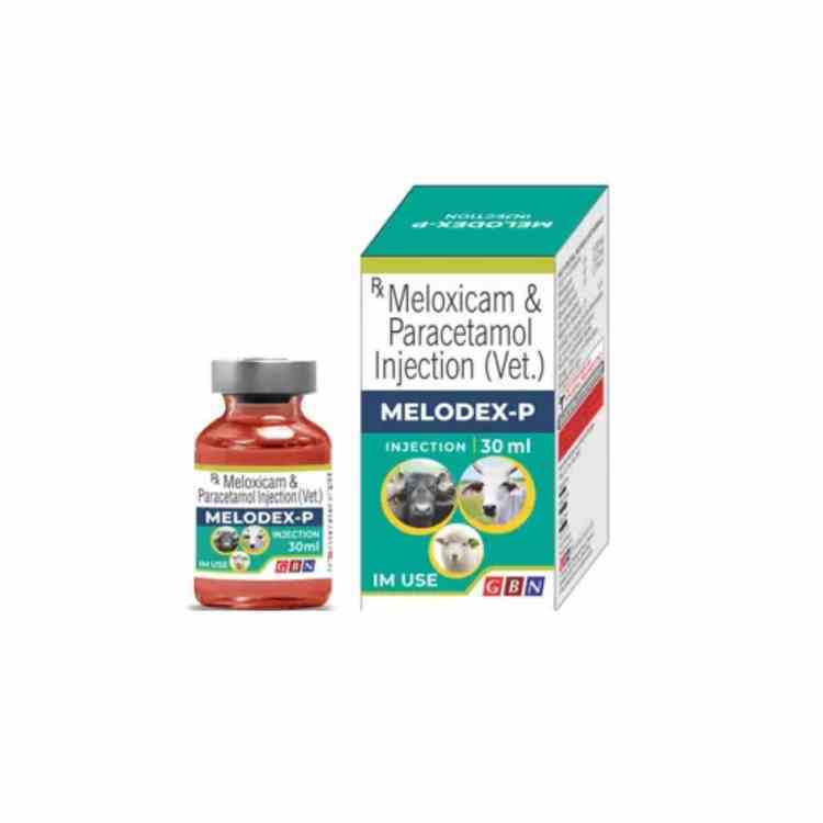 30Ml Meloxicam Paracetamol Injection