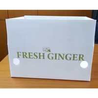 Foldable Pp Ginger Box - 12x9x5 Inches | White Color, Good Quality Material, Ideal For Organizing And Storing Ginger And Other Produce