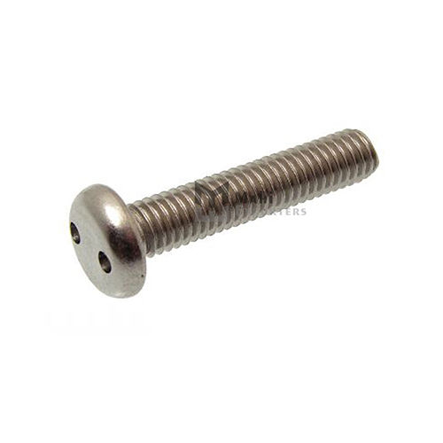 22131 Metric Thread Pan Head Security Screw Snake Eyes