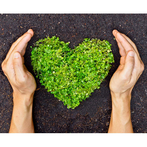 Environmentally Responsible Approach Services