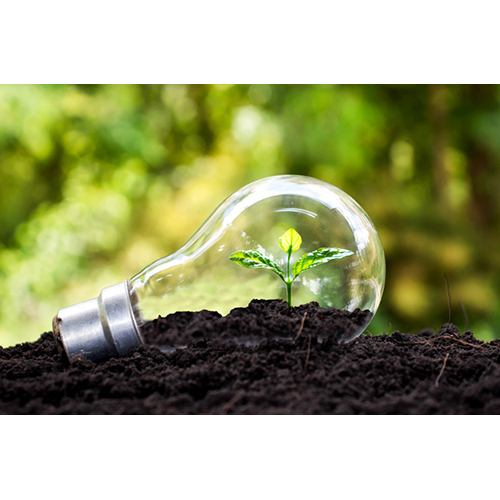 Environmental Stewardship Services