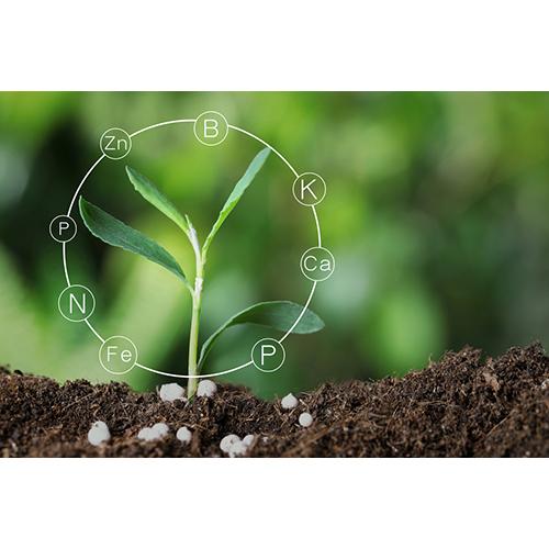Agriculture Organic Fertilizer