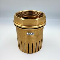 Gun Metal Foot Valve - 25 Mm , Polished Golden Finish, Durable Water Media Check Valve For Plumbing Systems
