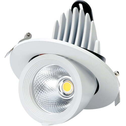 LED Zoom Light 15W (CW)