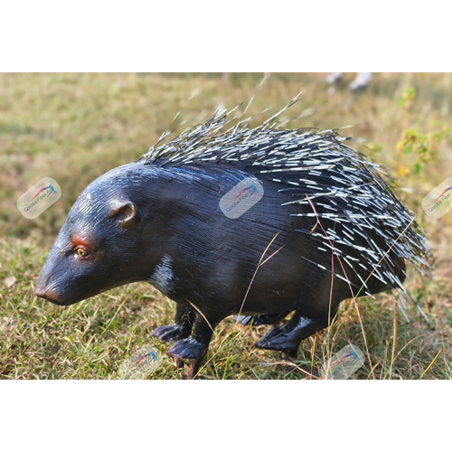 Different Available Fiber Porcupine