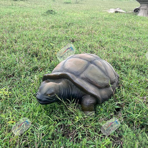 Fiber Tortoise