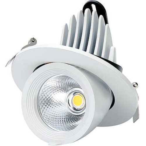 LED Zoom Light 50W (NW)