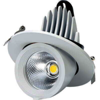LED Zoom Light 50W (NW)