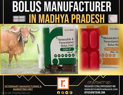 BOLUS MANUFACTURER IN MADHYA PRADESH