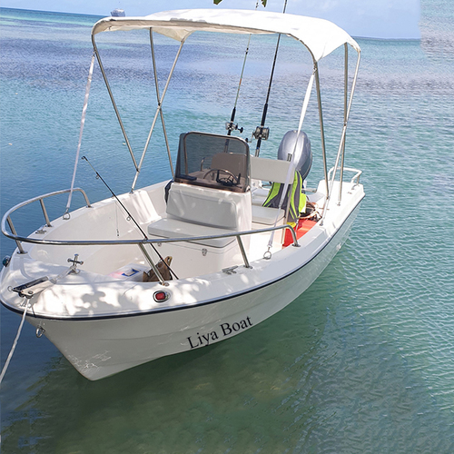 Liya 5m mini fiberglass hull fishing dinghy with outboard motor