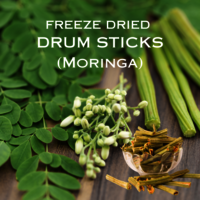 Freeze Dried Drum Stick